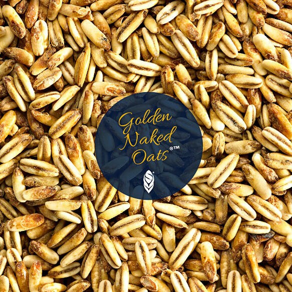 Golden Naked Oats Havremalt Simpsons
