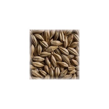 Dextrin Malt 25 kg