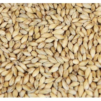 Barke Pilsnermalt (Weyermann®) Lösvikt