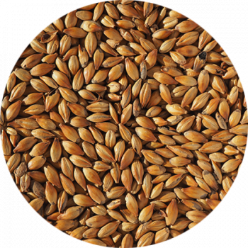 Crystal 240 (Crisp) Lösvikt