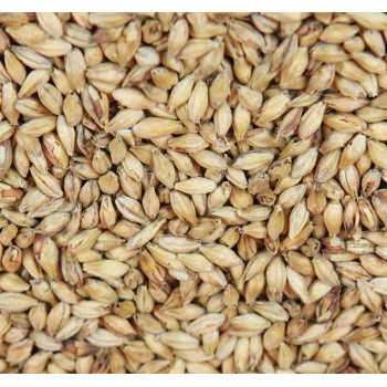 Barke Munich (Weyermann®)