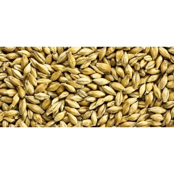 Cara Gold (Crisp) Lösvikt  15 Ebc