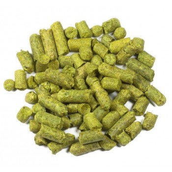 Whitbread Golding pellets 2019, 100 g