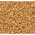 Puffat Vete - Torrefied Wheat (Crisp)