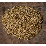 Maris Otter Pale Ale (Bairds) Lösvikt