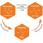 Brewzyme-D 10ml