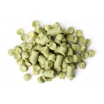 Humle Galena 100g Finest