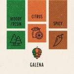 Humle Galena 100g