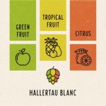 Hallertau Blanc 100g Finest