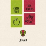 Enigma 100g pellets