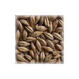 Dextrin Malt 25 kg