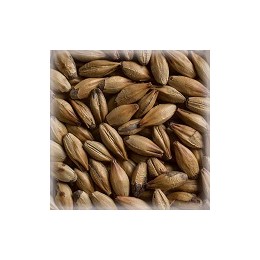 Chateau Arome karamellmalt 25 kg