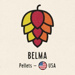 Belma 100g Pellets Finest