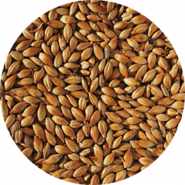 Crystal 240 (Crisp) Lösvikt