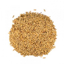Aromatic malt (Dingemans) Lösvikt